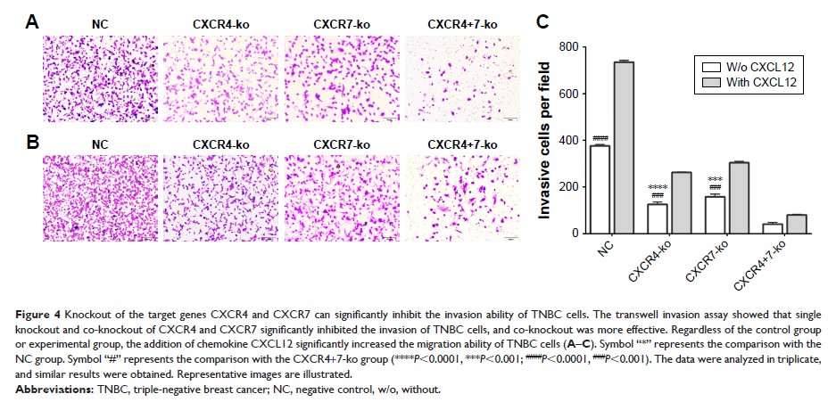 Figure 4 Knockout of the target genes CXCR4 and CXCR7 can significantly inhibit...