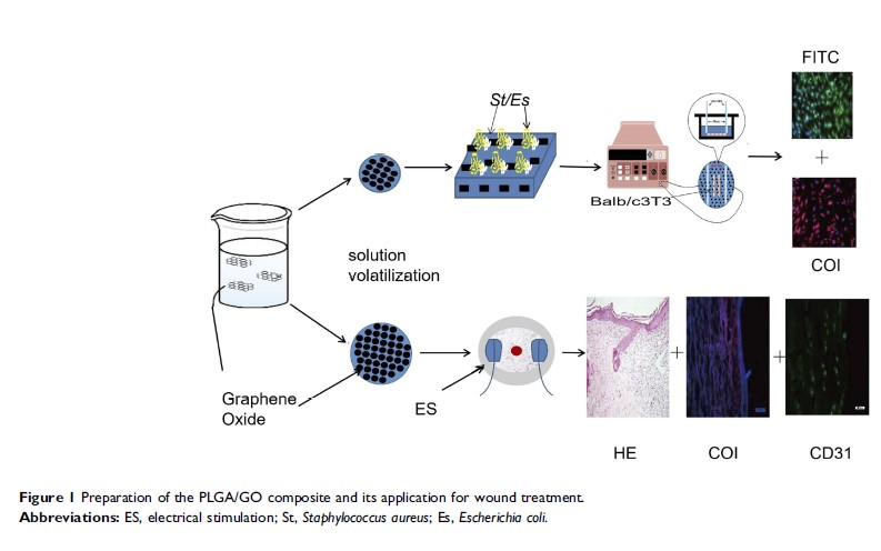 Figure 1 Preparation of the PLGA/GO composite and its application for wound treatment.