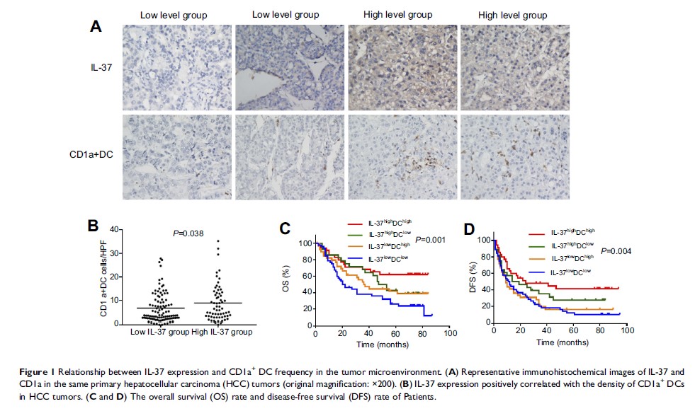 Figure 1 Relationship between IL-37 expression and...