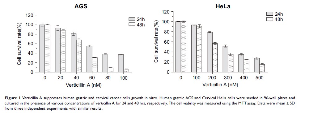 Figure 1 Verticillin A suppresses human gastric and cervical cancer cells growth in vitro...