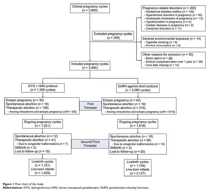 Figure 1 Flow chart of the study.