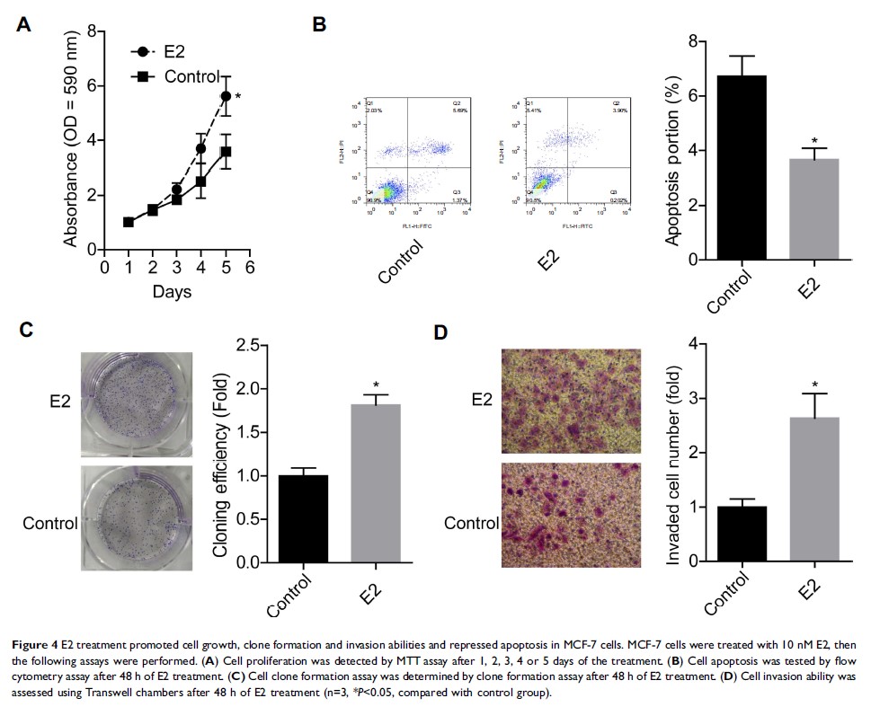 Figure 4 E2 treatment promoted cell growth, clone formation and...