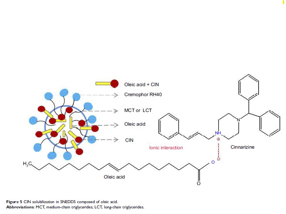 Figure 5 CIN solubilization in SNEDDS composed of oleic acid.