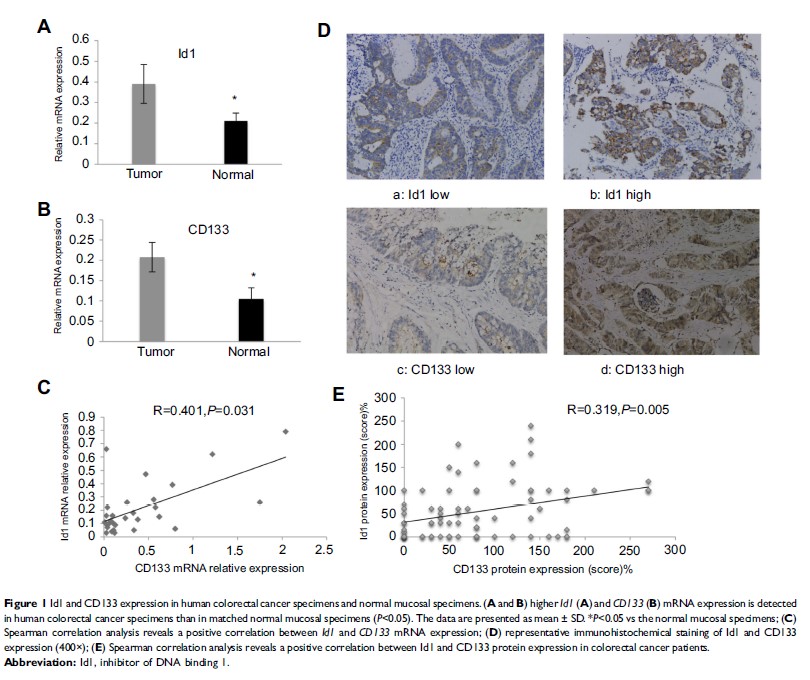 Figure 1 Id1 and CD133 expression in human colorectal cancer specimens and...