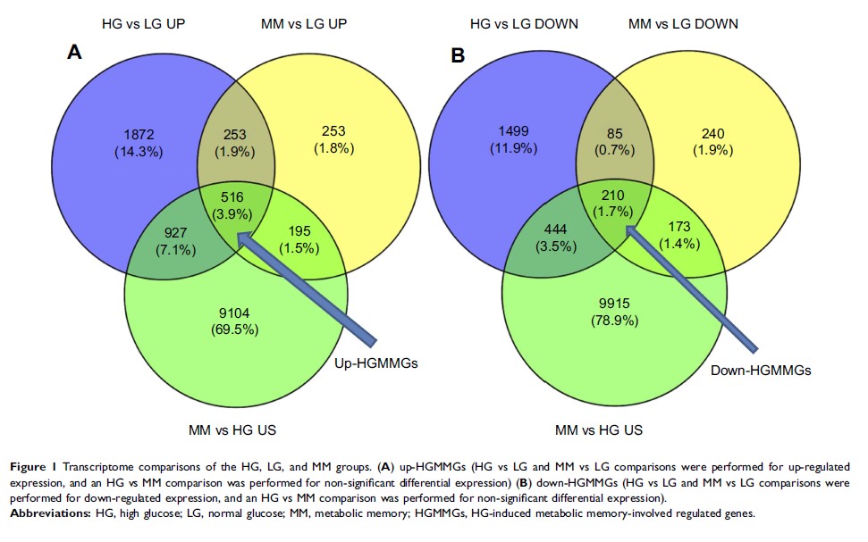 Figure 1 Transcriptome comparisons of the HG, LG, and MM groups...