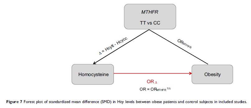 Figure 7 Forest plot of standardized mean difference (SMD) in Hcy levels between...