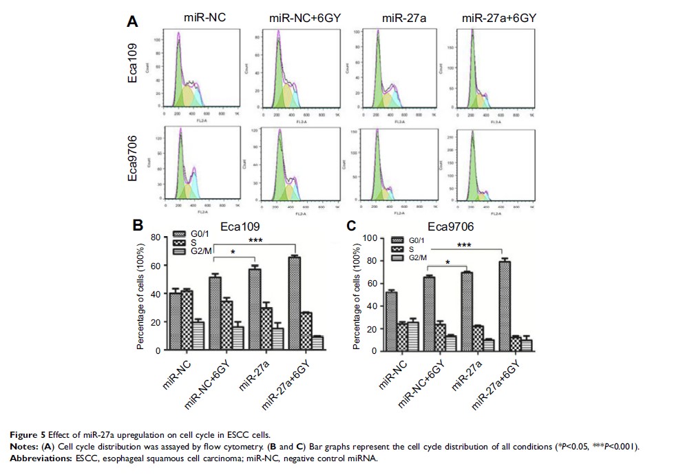 Figure 5 Effect of miR-27a upregulation on cell cycle in ESCC cells.