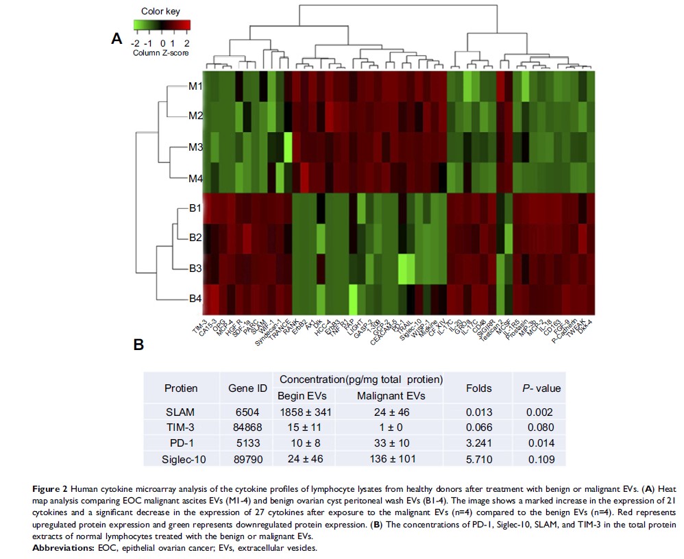 Figure 2 Human cytokine microarray analysis of the cytokine profiles of...