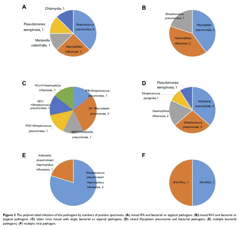 Figure 2 The polymicrobial infection of the pathogens by numbers of positive specimens...