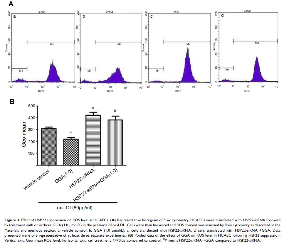 Figure 4 Effect of HSP22 suppression on ROS level in HCAECs...