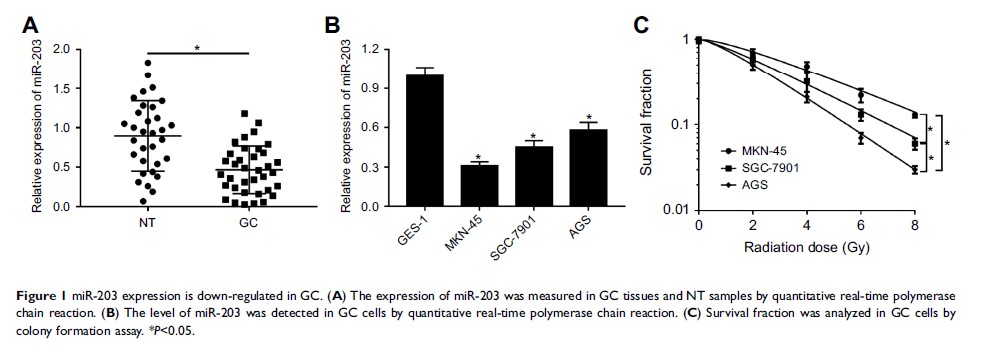 Figure 1 miR-203 expression is down-regulated in GC...