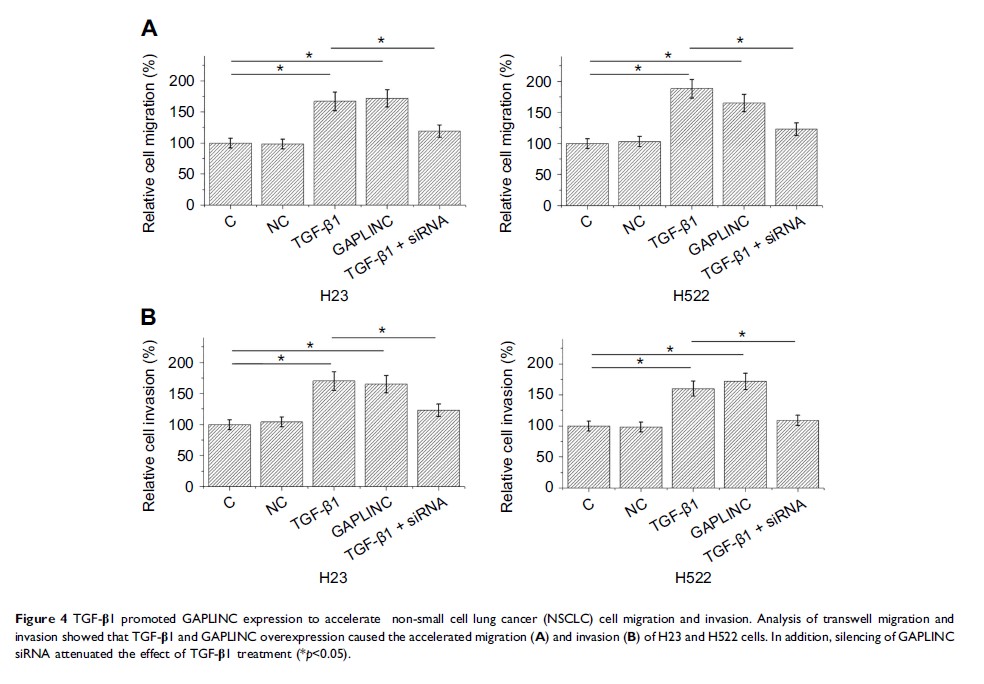 Figure 4 TGF-β1 promoted GAPLINC expression to accelerate non-small cell lung cancer...