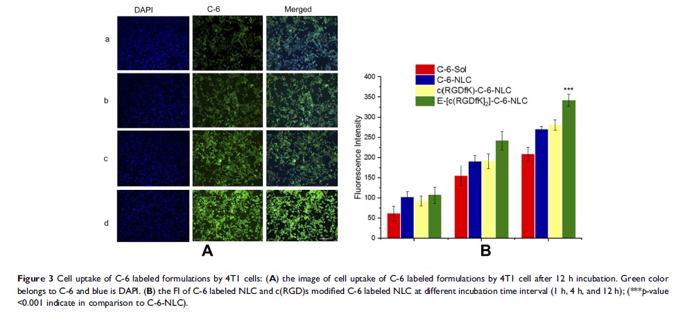 Figure 3 Cell uptake of C-6 labeled formulations by 4T1 cells...