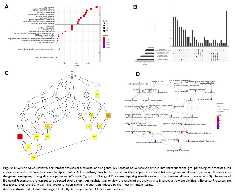 Figure 6 GO and KEGG pathway enrichment analyses of turquoise module genes...