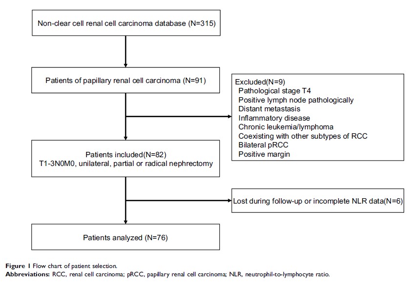 Figure 1 Flow chart of patient selection.