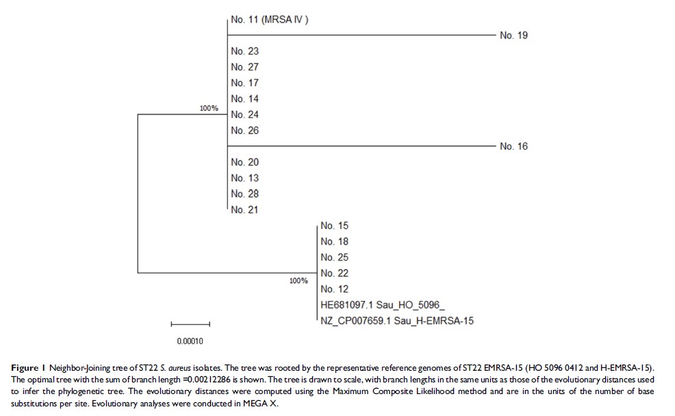 Figure 1 Neighbor-Joining tree of ST22 S. aureus isolates...