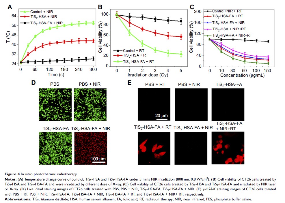 Figure 4 In vitro photothermal radiotherapy.