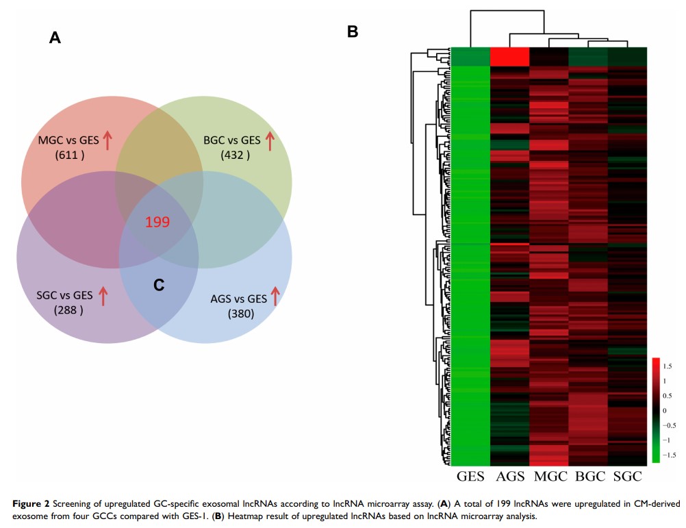Figure 2 Screening of upregulated GC-specific exosomal lncRNAs according to... Figure 2 Screening of upregulated GC-specific exosomal lncRNAs according to...
